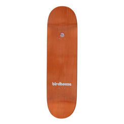 Birdhouse Pro Sloan Todaro Skateboard Deck - 8.75"