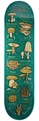 Drawing Boards Shroom Skateboard Deck - 8.25"