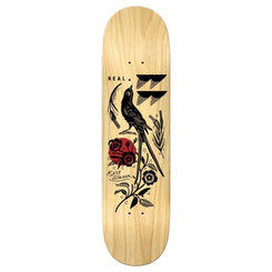 Real Pro Deck Kyle Mudgett Skateboard Deck - 8.25" - Skatewarehouse.co.uk