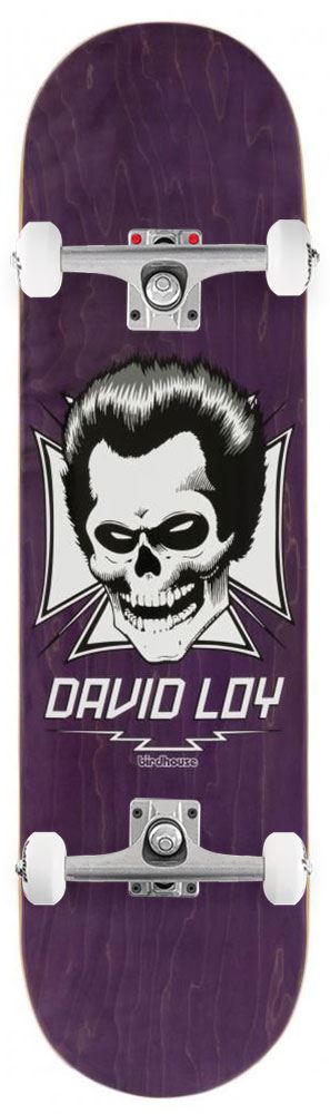 Birdhouse Pro Loy Skull Custom Complete Skateboard - 8.38" - Skatewarehouse.co.uk