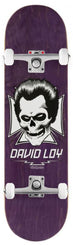 Birdhouse Pro Loy Skull Custom Complete Skateboard - 8.38" - Skatewarehouse.co.uk