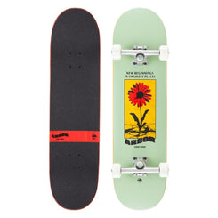 Arbor Street Street 8.25 Daisy Complete Skateboard - 8.25"