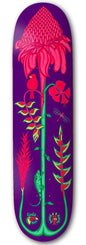 Drawing Boards Costa Rica Torch Ginger Skateboard Deck - 8.5" - Skatewarehouse.co.uk