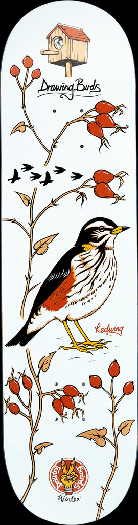 Drawing Boards Redwing Skateboard Deck - 8.5"