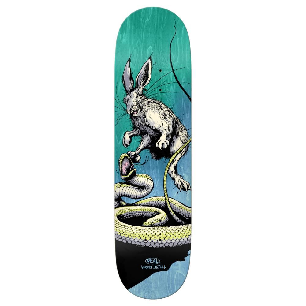 Real Pro Deck Lintell Prey Skateboard Deck - 8.4" - Skatewarehouse.co.uk