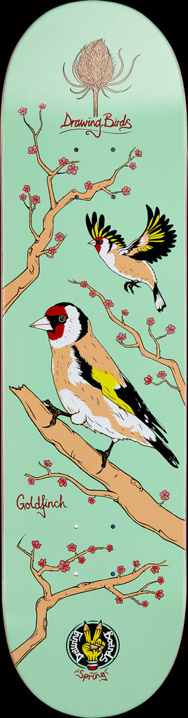 Drawing Boards Goldfinch Skateboard Deck - 8.5"