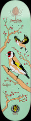 Drawing Boards Goldfinch Skateboard Deck - 8.5"